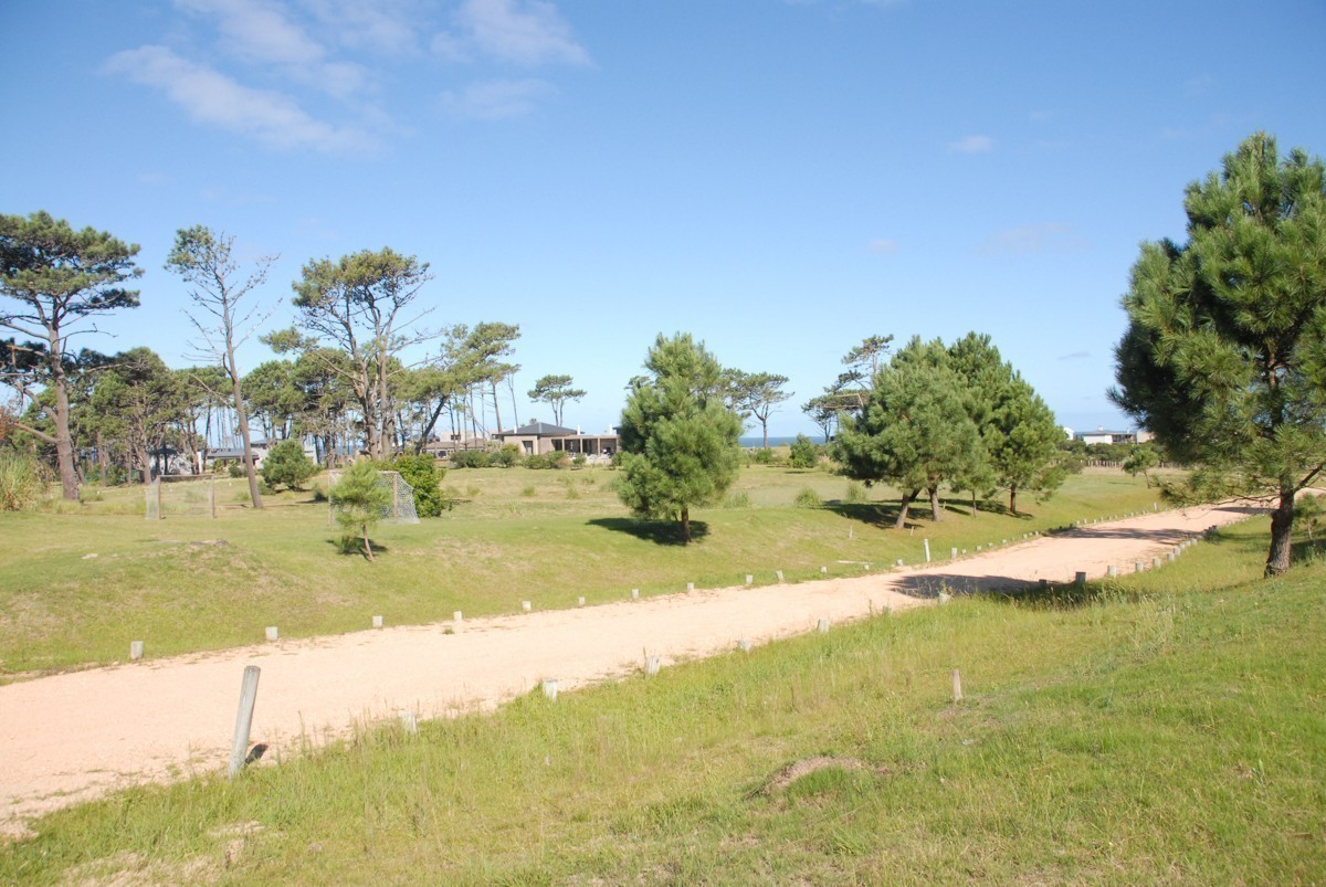 Terreno en venta en Pinar del Faro en Jose Ignacio